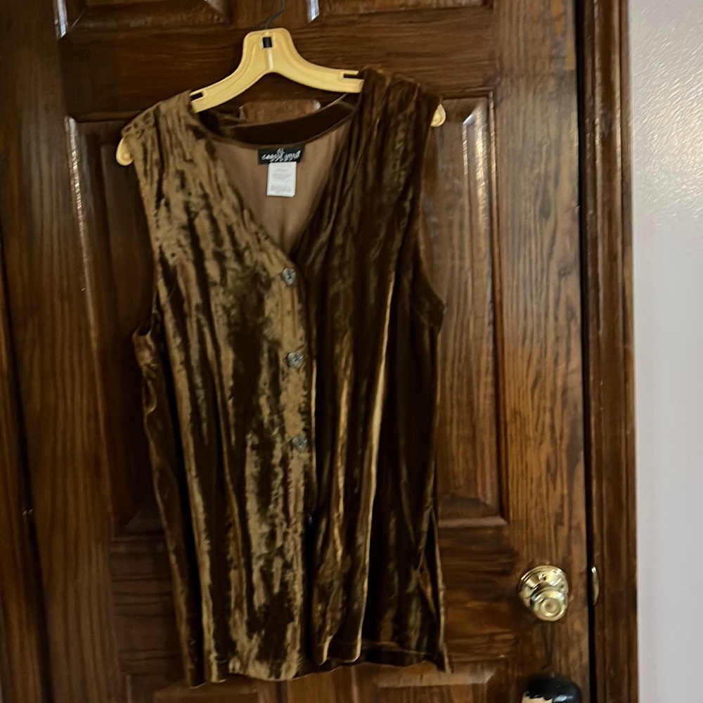 Vintage Carol Little Collection. Brown Velvet Vest